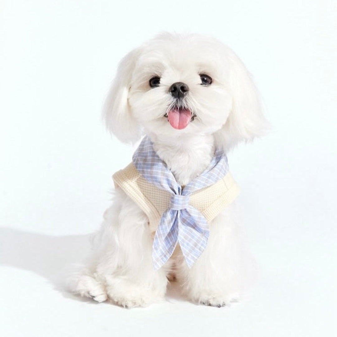 Preppy Waffle-Knit Vest